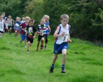 Click on thumbnail for larger photo