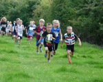 Click on thumbnail for larger photo