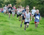 Click on thumbnail for larger photo