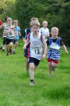 Click on thumbnail for larger photo