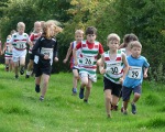 Click on thumbnail for larger photo