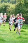 Click on thumbnail for larger photo