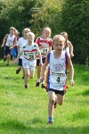 Click on thumbnail for larger photo