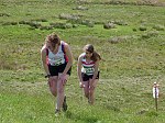 Click on thumbnail for larger photo