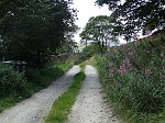 Click on thumbnail for larger photo