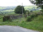 Click on thumbnail for larger photo