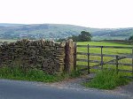 Click on thumbnail for larger photo